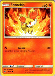 Fennekin (14)