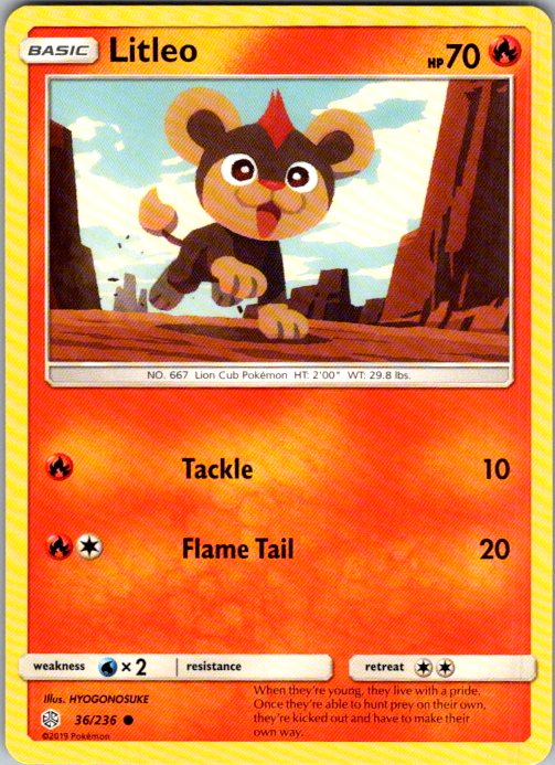 Litleo