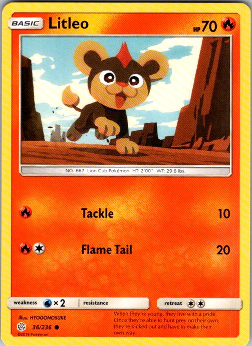 Litleo