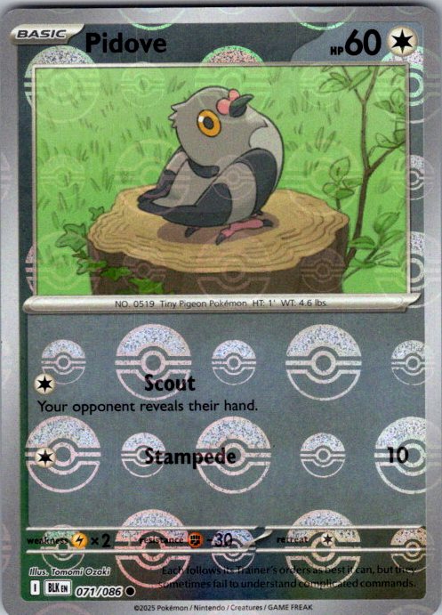 Pidove (Poke Ball Pattern)