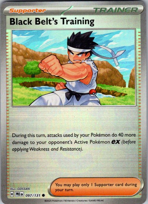 Black Belt's Training - 097/131 (Poke Ball Pattern)