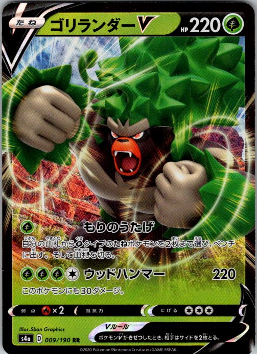 Rillaboom V - 009/190