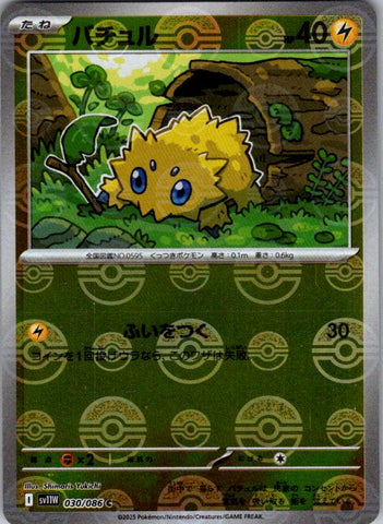 Cryogonal - 030/086 (Poke Ball Pattern)