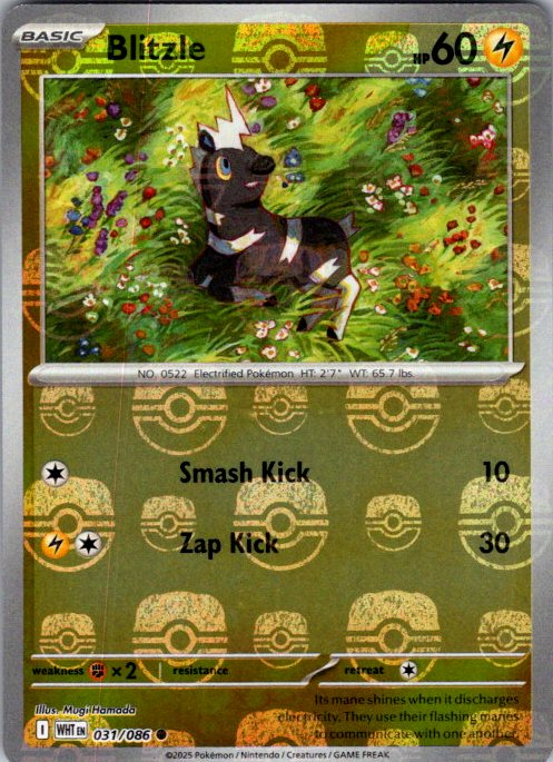 Blitzle (Master Ball Pattern)
