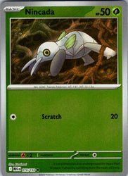 Nincada