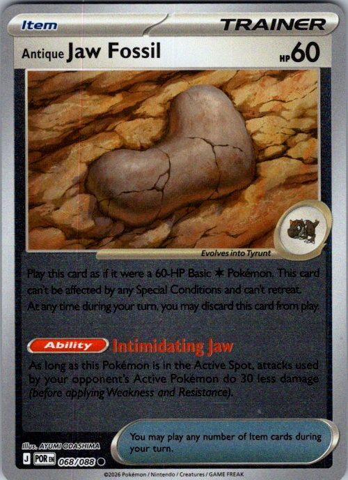 Antique Jaw Fossil