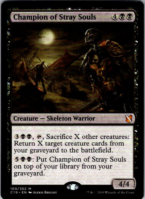 Champion of Stray Souls