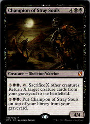 Champion of Stray Souls