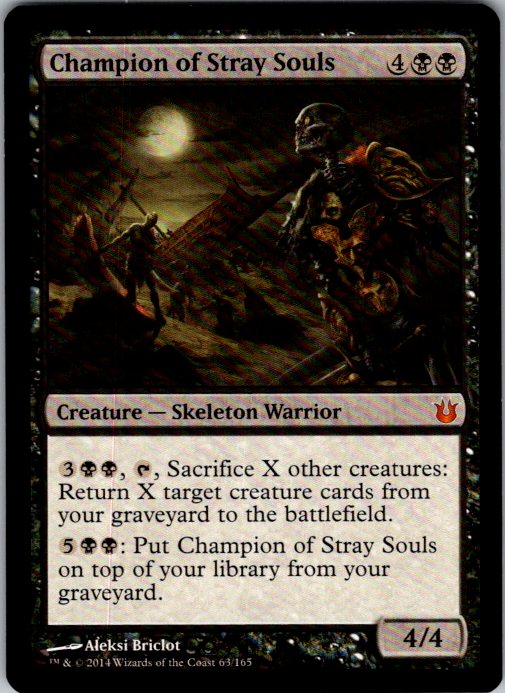 Champion of Stray Souls