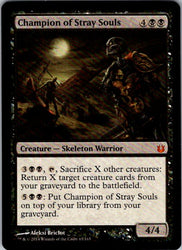 Champion of Stray Souls