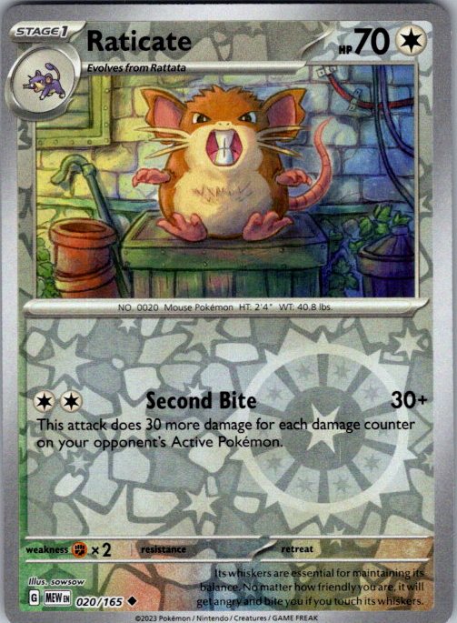 Raticate