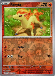 Ponyta