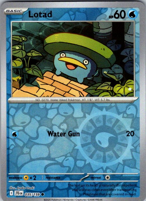Lotad