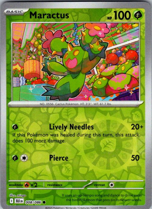 Maractus