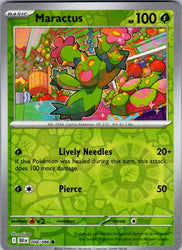 Maractus