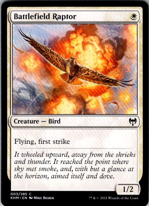 Battlefield Raptor