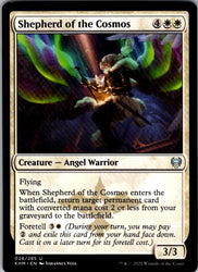 Shepherd of the Cosmos