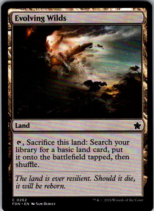 Evolving Wilds