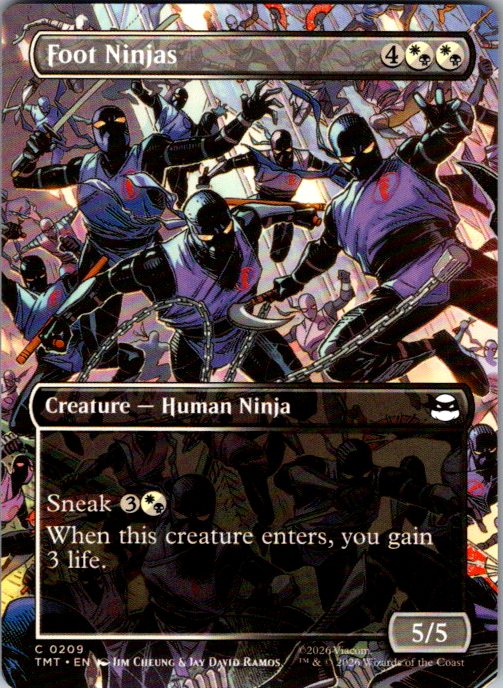 Foot Ninjas (Borderless)