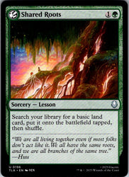 Shared Roots