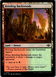 Bristling Backwoods
