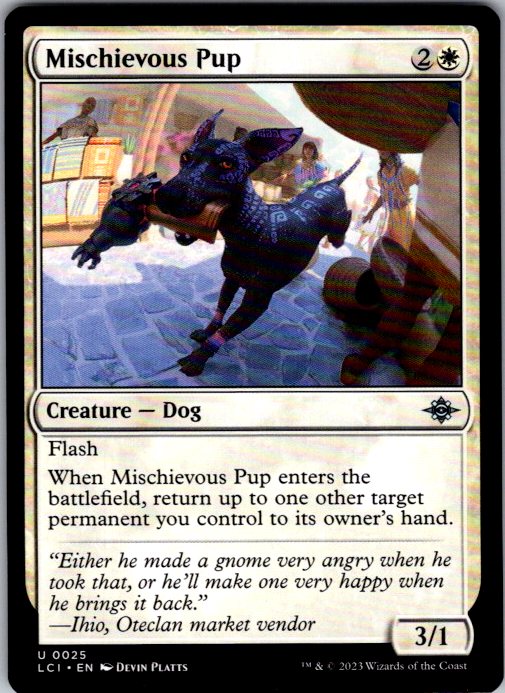 Mischievous Pup