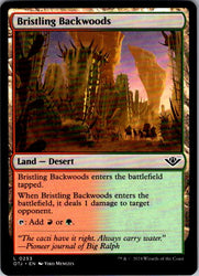 Bristling Backwoods