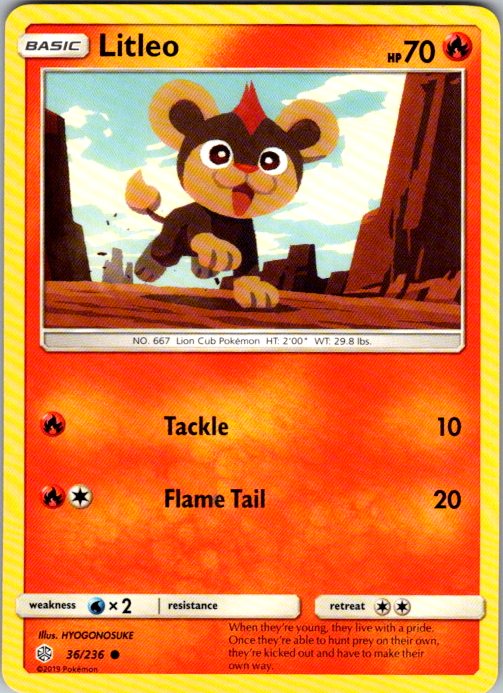 Litleo