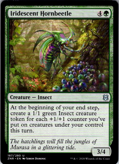 Iridescent Hornbeetle