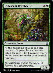 Iridescent Hornbeetle