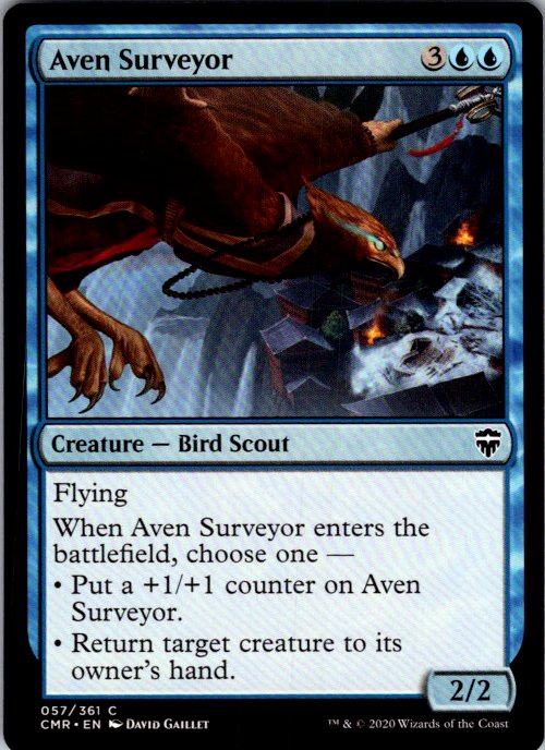 Aven Surveyor