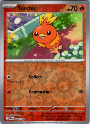 Torchic