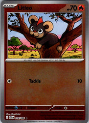 Litleo