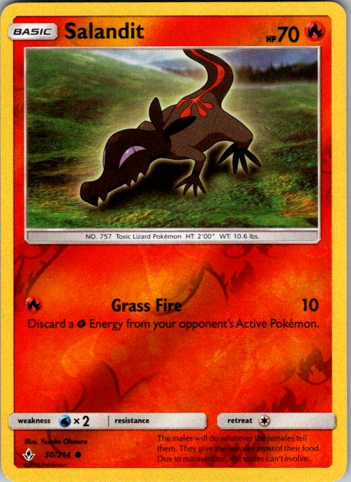 Salandit