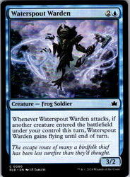 Waterspout Warden