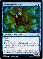 Plumecreed Escort