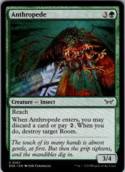 Anthropede