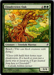 Cloudcrown Oak