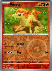 Ponyta