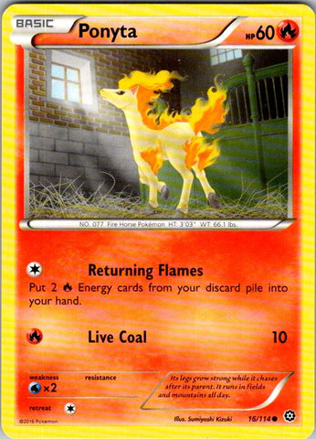 Ponyta
