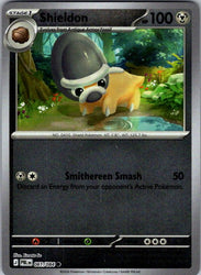 Shieldon