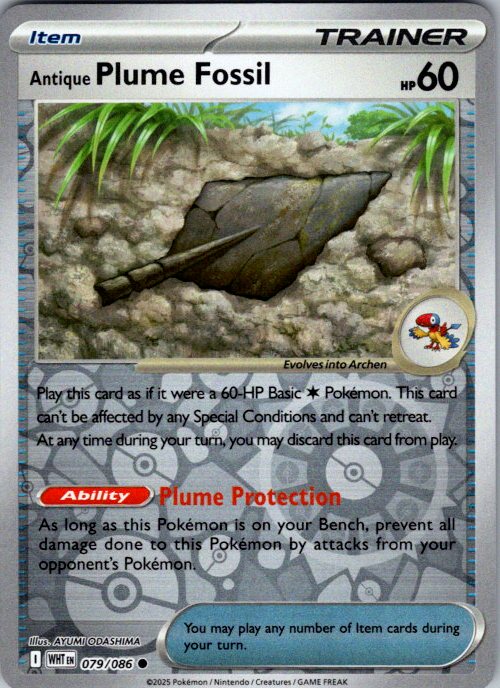 Antique Plume Fossil