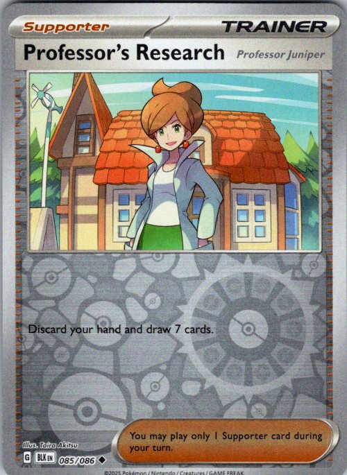 Professor's Research [Professor Juniper]
