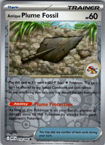 Antique Plume Fossil