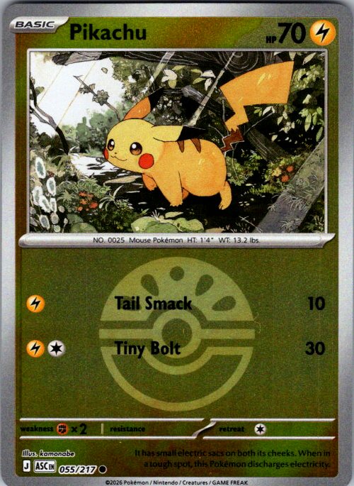 Pikachu (Energy Symbol Pattern)