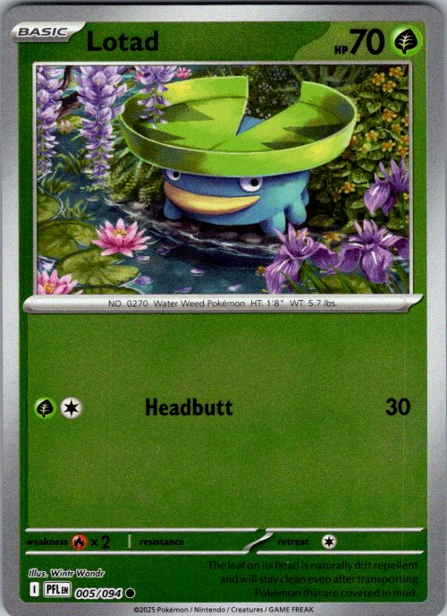 Lotad