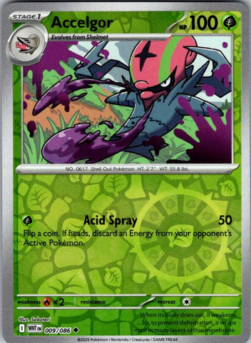 Accelgor