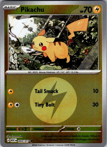 Pikachu (Energy Symbol Pattern)