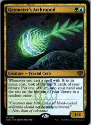 Geometer's Arthropod