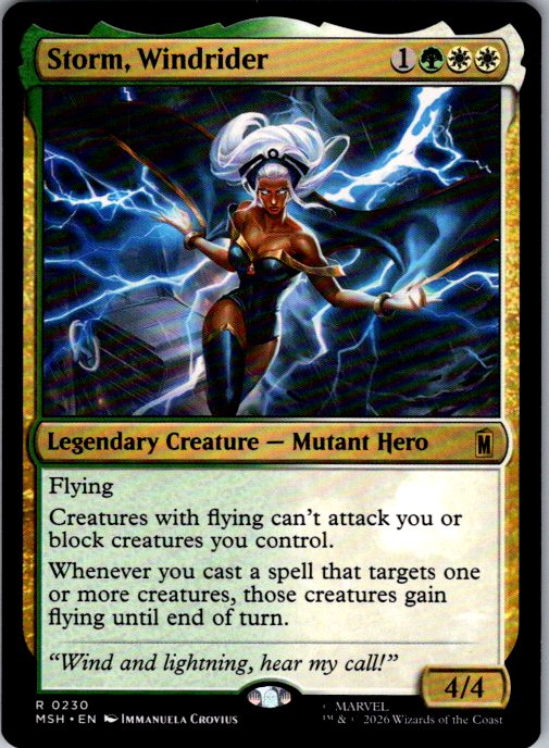 Storm, Windrider